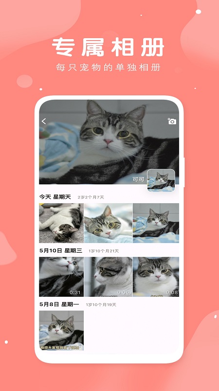 �г�app����v1.0.4 ���°�