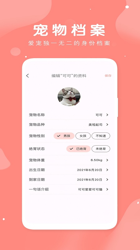 �г�app����v1.0.4 ���°�