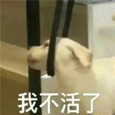 ��������ʱ�ܺ��õı��� ����������˲����ӿ��ֵı���