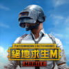 pubg�����������ʷ�2.9�汾(BETA PUBG MOBILE)v2.9.0 �ٷ�����