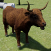 �ߵ�ţģ������Highland Cattle Sim��v1.1 ��׿��
