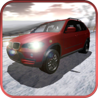 ѩ������������Snow Rally Championv1.0 ��׿��
