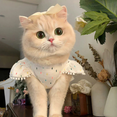 ����Ů�ر���������ͼ���� ���߲��밮��������������