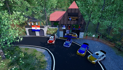 ���������(ThisIsRally)v1.0 ��׿��