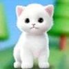 è��ѡ���������Cat Choicesv1.0.1 ��׿��