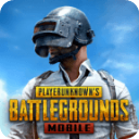 ���������۵�obb(PUBG MOBILE)v2.8.0 ��׿��