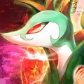 不败精灵oppo版v3.0.2 最新版