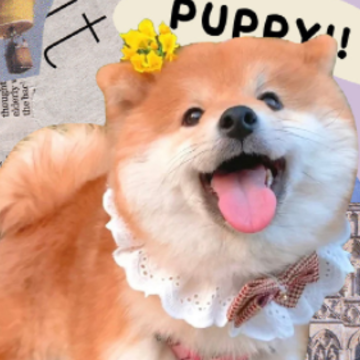 ���°��ʺ��������Ķ̾� ������Ҳ��ů�ĵĸ����¼