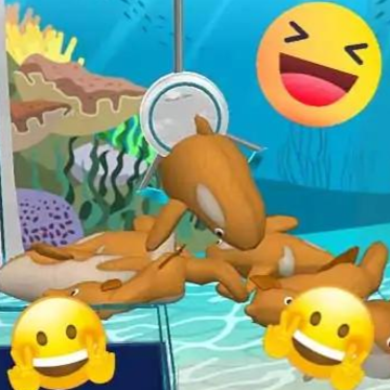 海洋生物娃娃机 海洋生物娃娃机