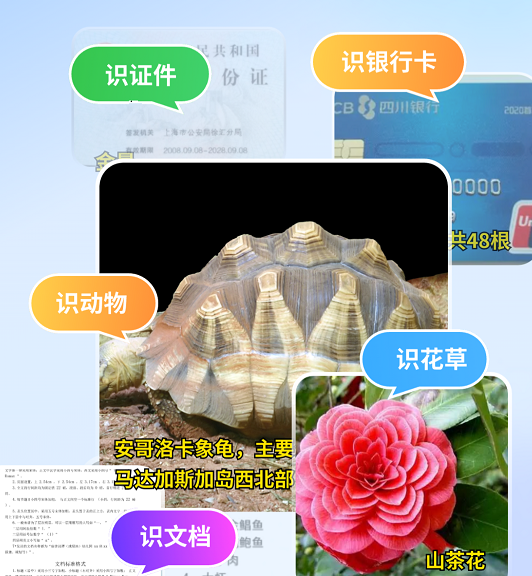 万物识图快拍易识别 万物识图快拍易识别
