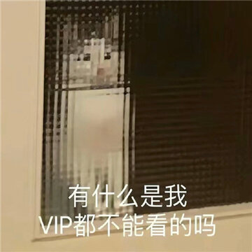 ÿ�Ŷ��Ǻܿ��ĵı����ȫ ��ʲô����vip���ܿ��������