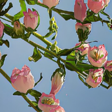 ����ɱ���˵�С��ǩ���ܻ� �Ƚϻ�ĸ���ǩ����ȫ