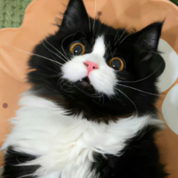 ����Ƣ���Ĵ�Ů�����Լ���ǩ�� ���Լ��Ŀ�קǩ��
