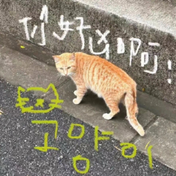 2024��קǩ�����°�˧������ �ܰ�����קקǩ��