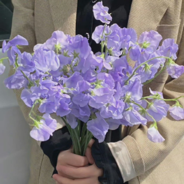 ���Լ����İ��̾� ���Լ����ʹ������İ�