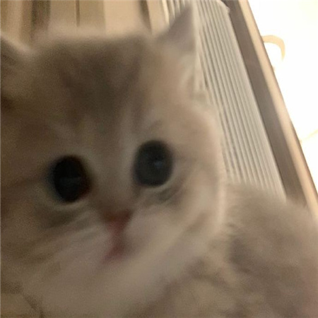 èè������ͼƬ������ˮӡ���ɰ� �Ӵ��������㸺������