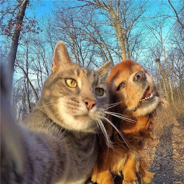 èè������ͼƬ������ˮӡ���ɰ� �Ӵ��������㸺������