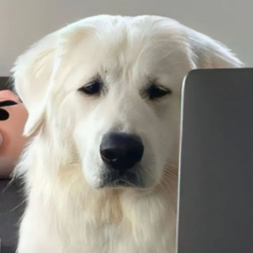 ΢��ǩ���������˵�һ�仰 �޲����ڱ�����ϵ�е�ǩ��
