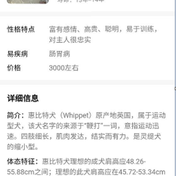 口袋乐看 口袋乐看
