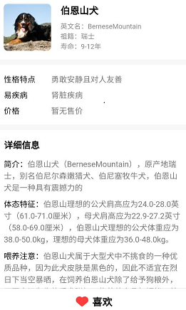 口袋乐看 口袋乐看