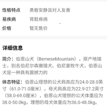 口袋乐看 口袋乐看