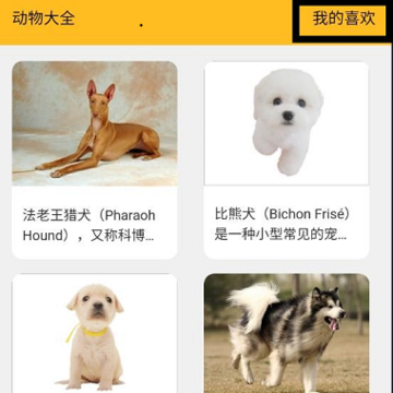 口袋乐看 口袋乐看