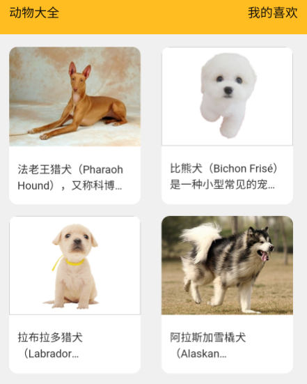 金牌聚看 金牌聚看