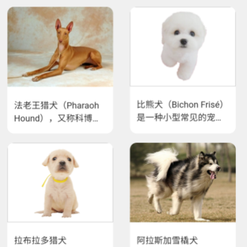 金牌聚看 金牌聚看