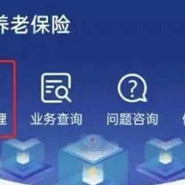 陕西养老保险app安装 陕西养老保险app安装