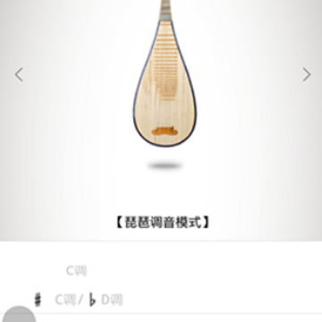 琵琶调音器 琵琶调音器