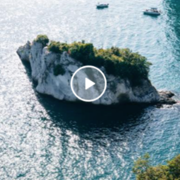��������app����