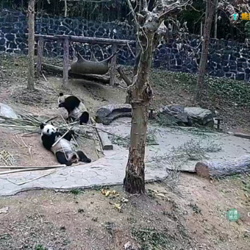 摸鱼影视仓 摸鱼影视仓