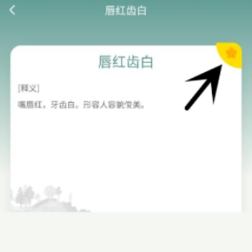 成语进宝 成语进宝