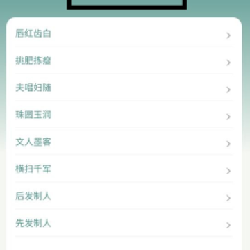 成语进宝 成语进宝