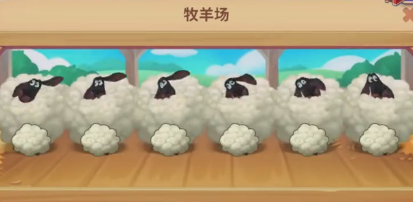 �������qq��¼��