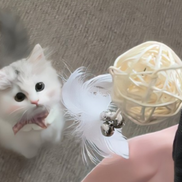 �������ɲ�������İ����� ���²�ȥ����Ķ̾�