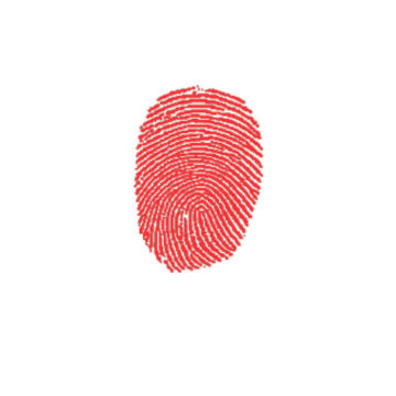 �����app�ٷ���