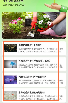 花田庄园 花田庄园