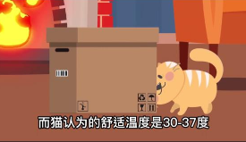 宠本本 宠本本