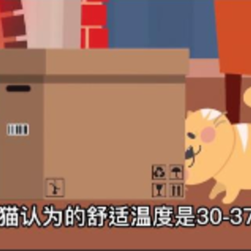 宠本本 宠本本