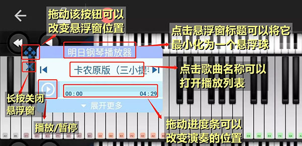 十大弹琴助手(shida) 十大弹琴助手(shida)