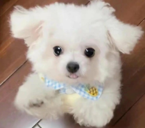 �������к�ļ�ǿ˵˵ �뿪���к���ø��õ�˵˵