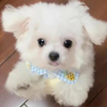 �������к�ļ�ǿ˵˵ �뿪���к���ø��õ�˵˵