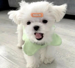 �������к�ļ�ǿ˵˵ �뿪���к���ø��õ�˵˵
