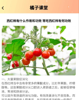 橘子刷刷 橘子刷刷