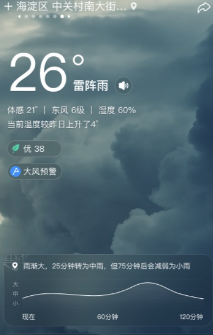 ��������app