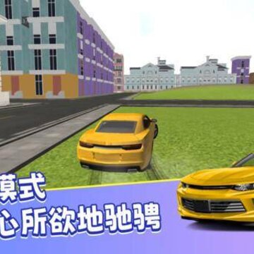 真实模拟司机驾驶 真实模拟司机驾驶