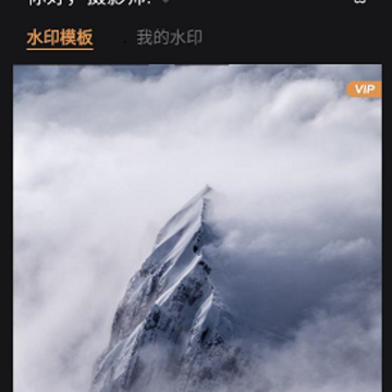 徕卡水印大师 徕卡水印大师