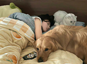 ��ק��쪵��İ����Լ� ��a�ܸ����и��Ե���¼