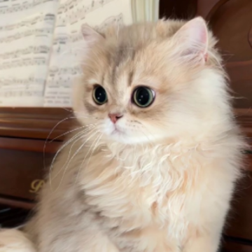��Զ�ʻ��������־���� ���»���Լ�������